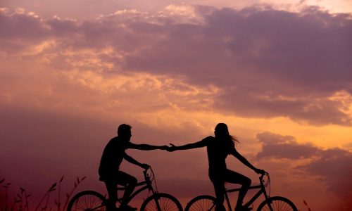 bicycles-1867046_960_720.jpg